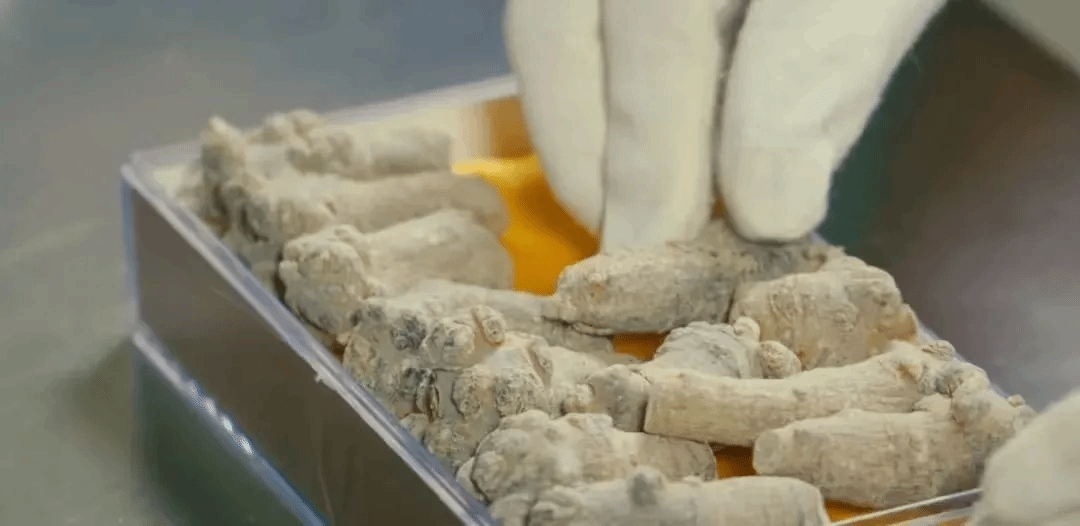 尊龙凯时·(中国)人生就是搏!