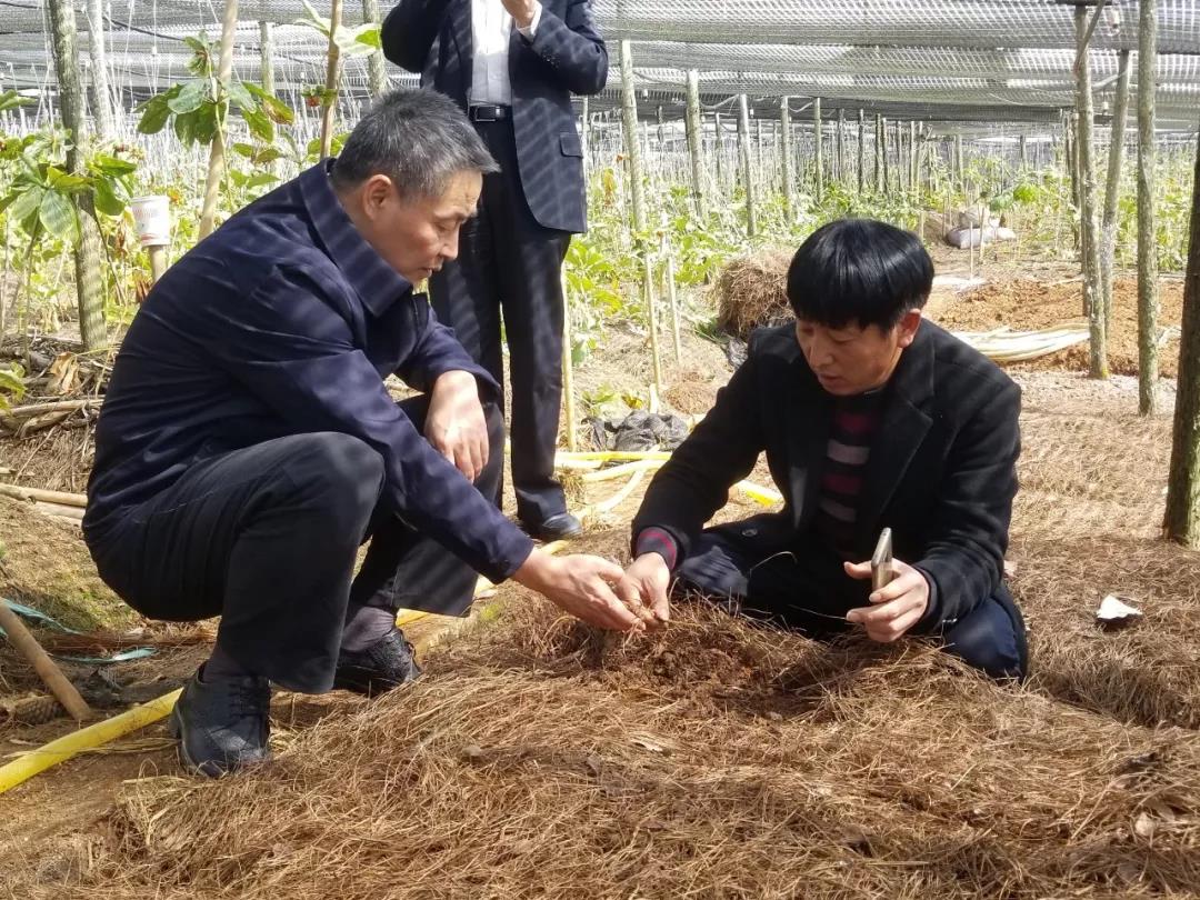 尊龙凯时·(中国)人生就是搏!