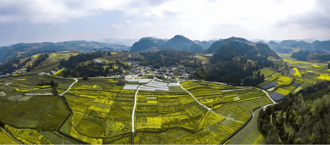 尊龙凯时·(中国)人生就是搏!