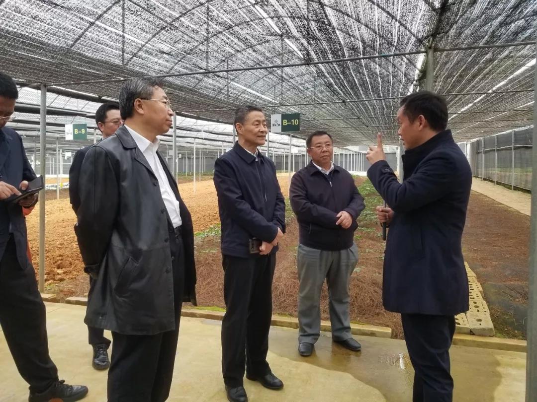 尊龙凯时·(中国)人生就是搏!