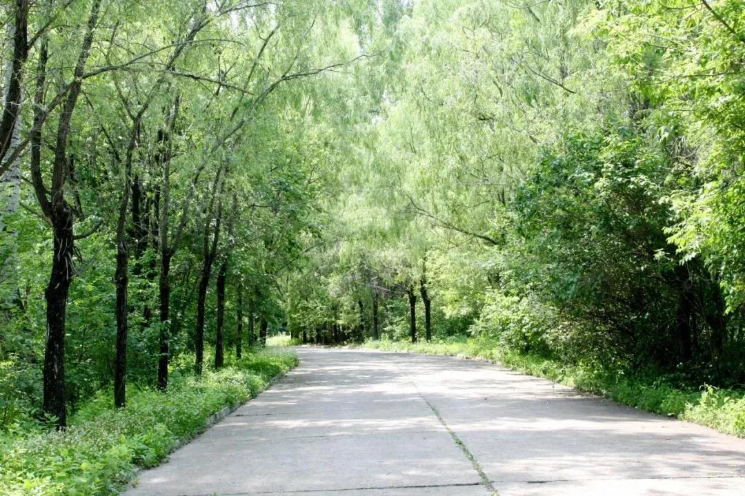 尊龙凯时·(中国)人生就是搏!