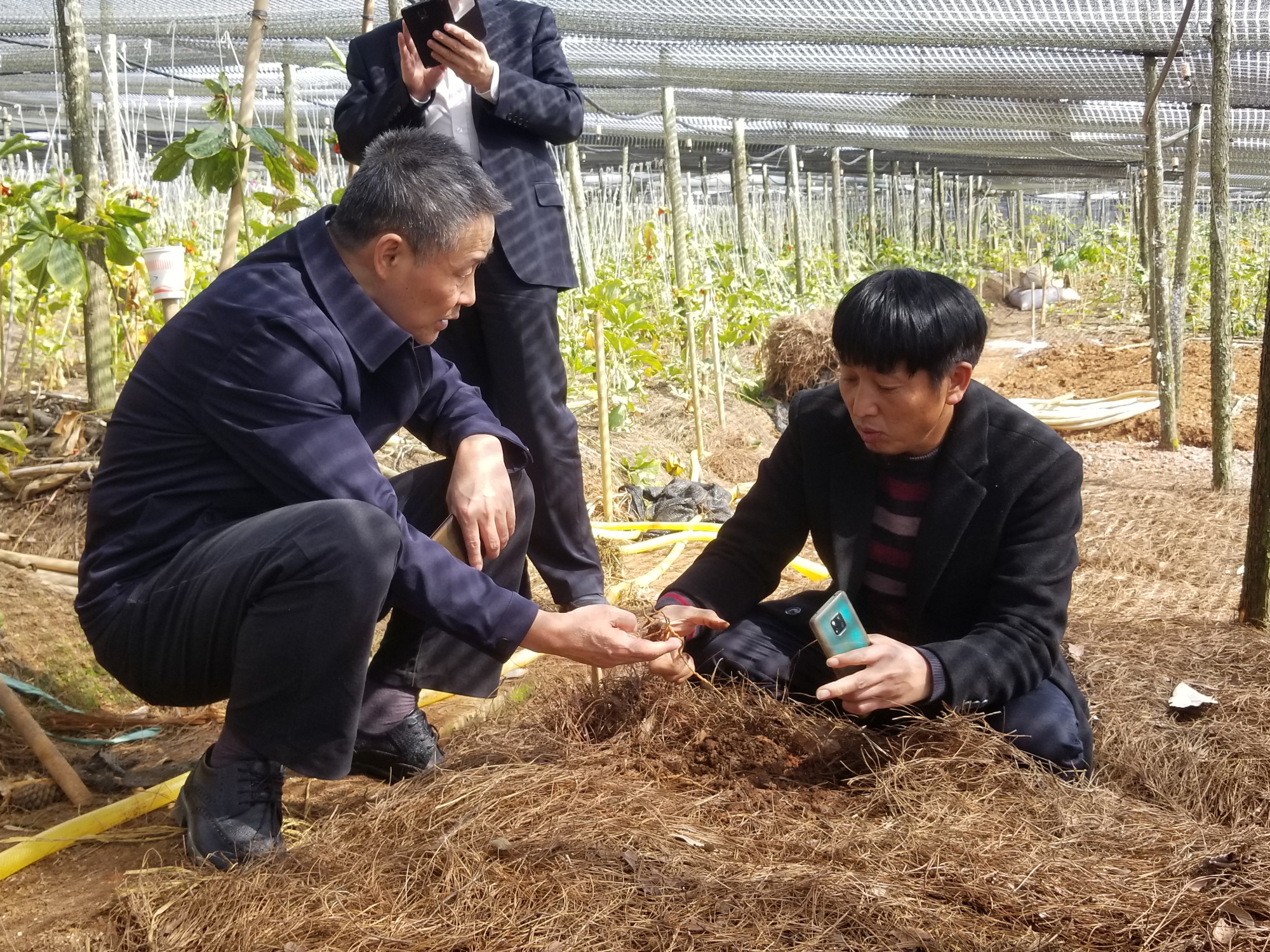 尊龙凯时·(中国)人生就是搏!