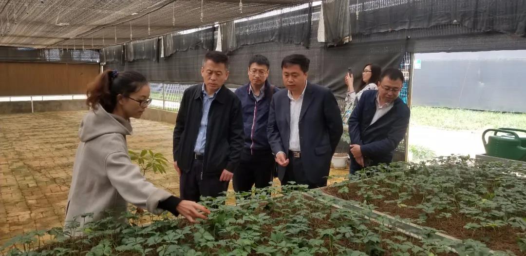 尊龙凯时·(中国)人生就是搏!