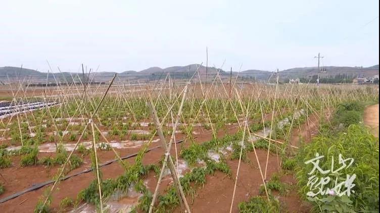 尊龙凯时·(中国)人生就是搏!