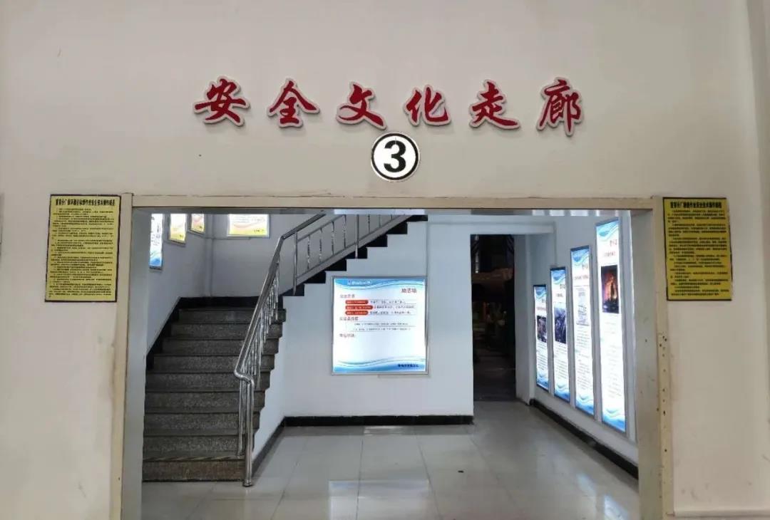 尊龙凯时·(中国)人生就是搏!