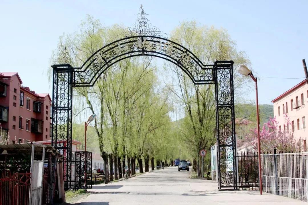 尊龙凯时·(中国)人生就是搏!