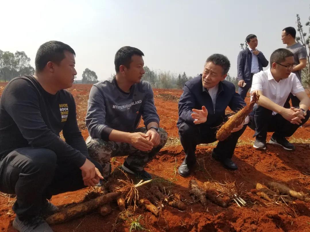 尊龙凯时·(中国)人生就是搏!