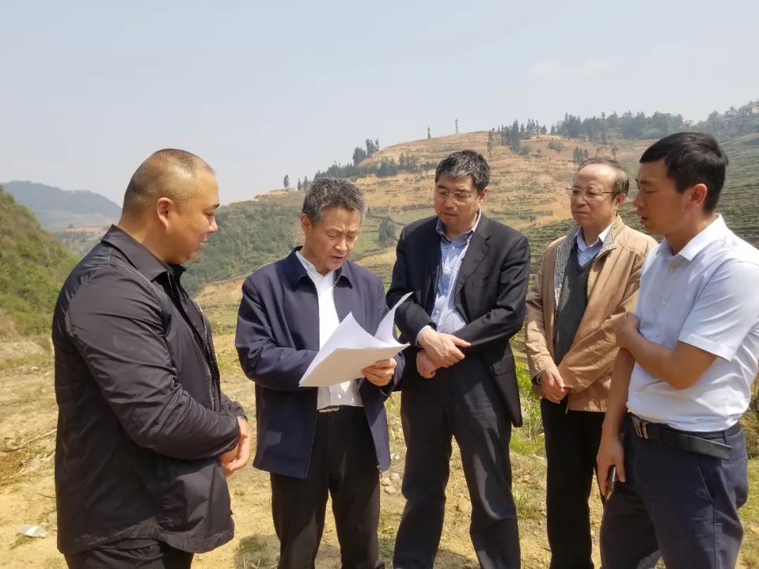 尊龙凯时·(中国)人生就是搏!